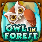 Owl In Forest game icon